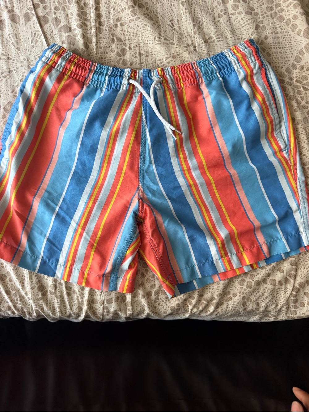 Men's Striped Hybrid Swim Shorts - Blue & Coral